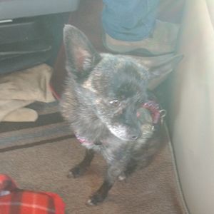 Meet your Posher, Laura j